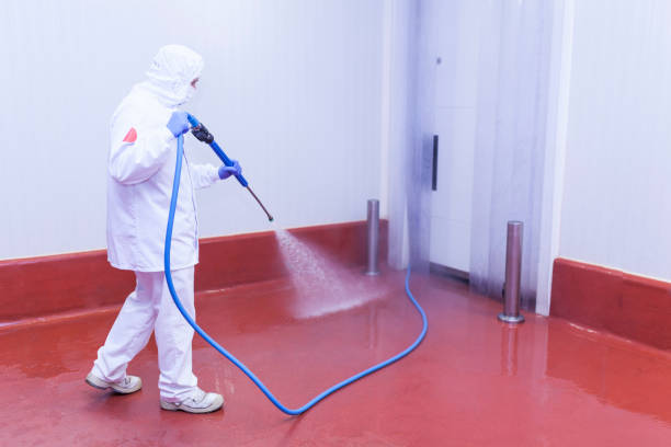 Best Solar Panel Cleaning  in Pleasantville, NY